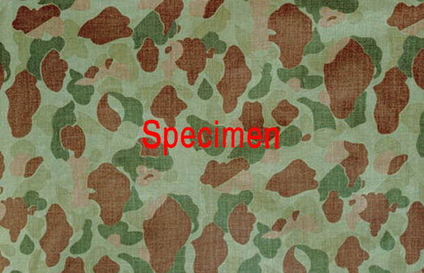 thing 002283 (Camouflaged Parachute)
